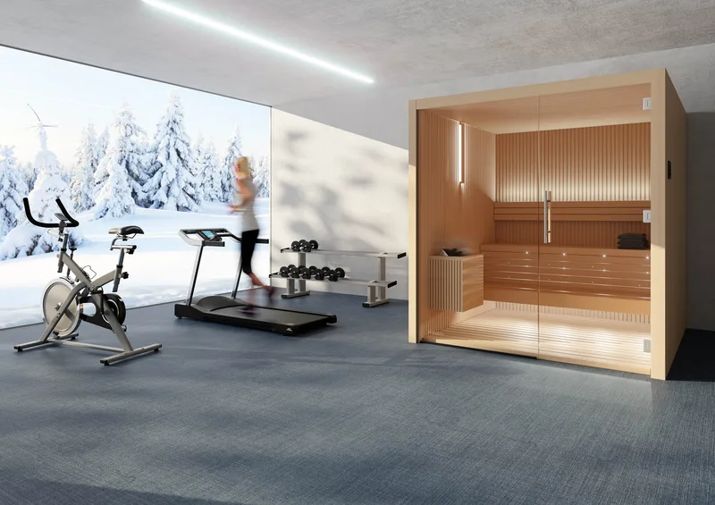 An indoor sauna beside a winter forest window